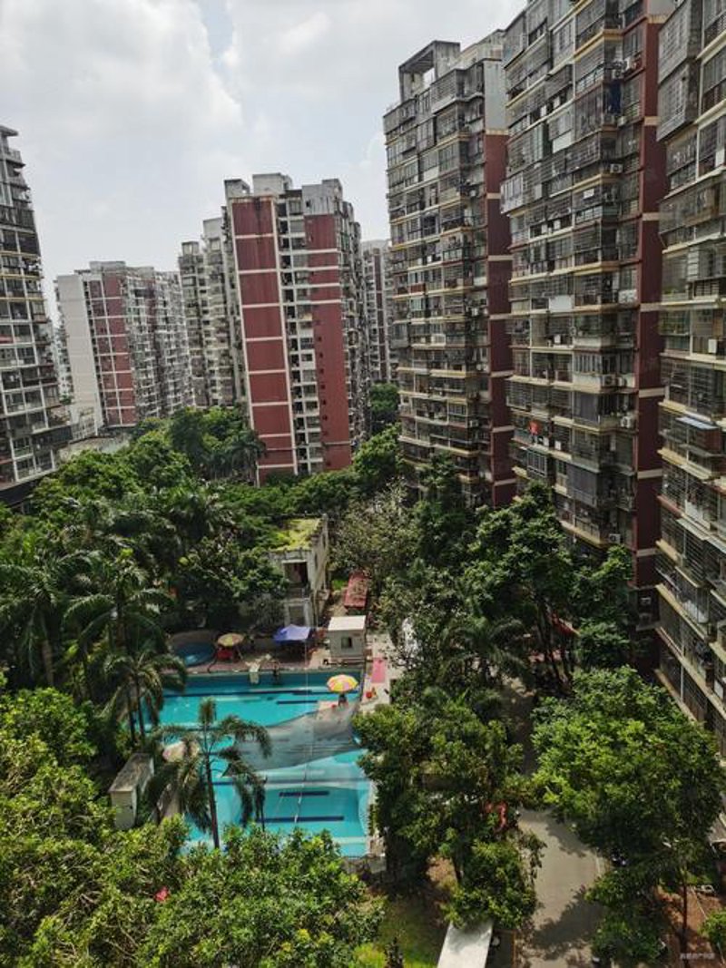 厦门房产市场动态一览